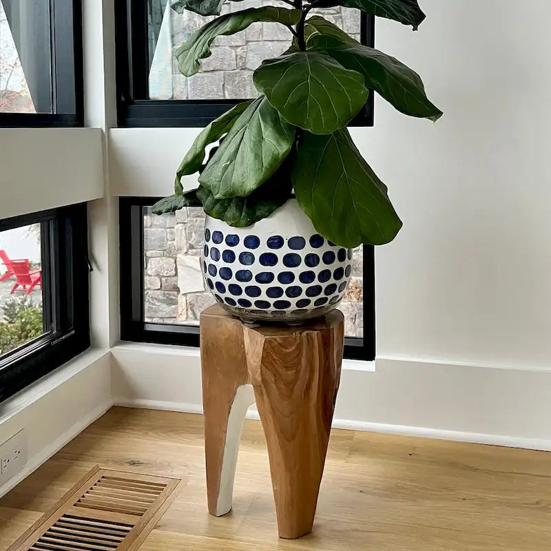 Solid Teak Root Stool Natural Organic Wood Side Table with White Legs